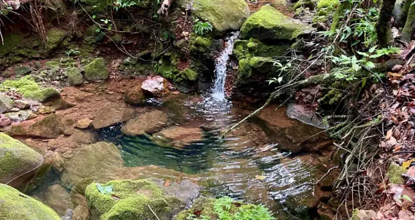 Lindíssima fazenda a venda na região de chapada dos guimarães -mt