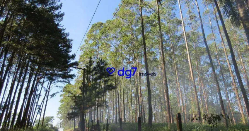 Terreno à venda, 237000 m² por R$ 23.700.000 - Centreville - Cotia/SP