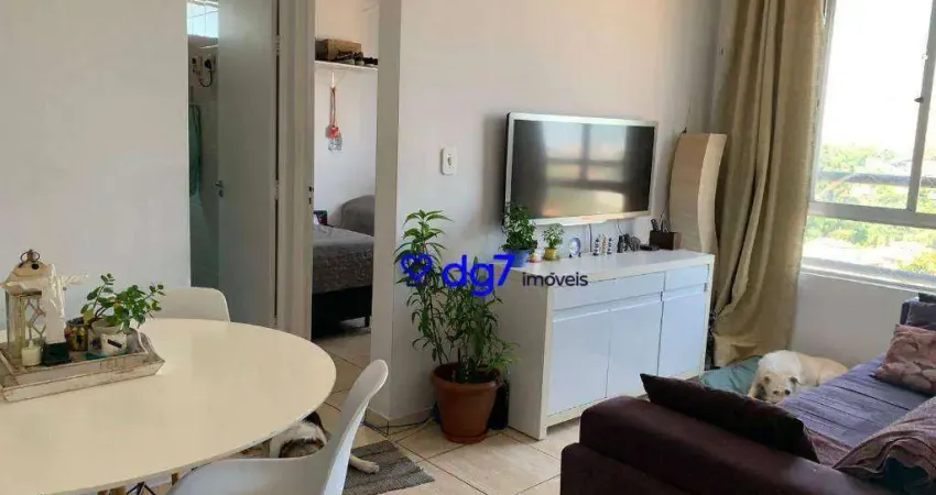 Apartamento com 2 dormitórios à venda, 53 m² - Jardim Bonfiglioli - São Paulo/SP