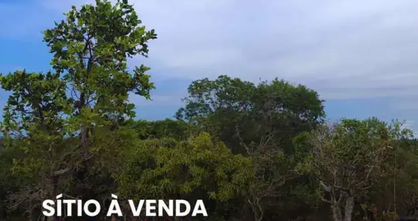 Chácara / sítio à venda na ESTIVA DE AREMBEPE, Arembepe (Abrantes), Camaçari