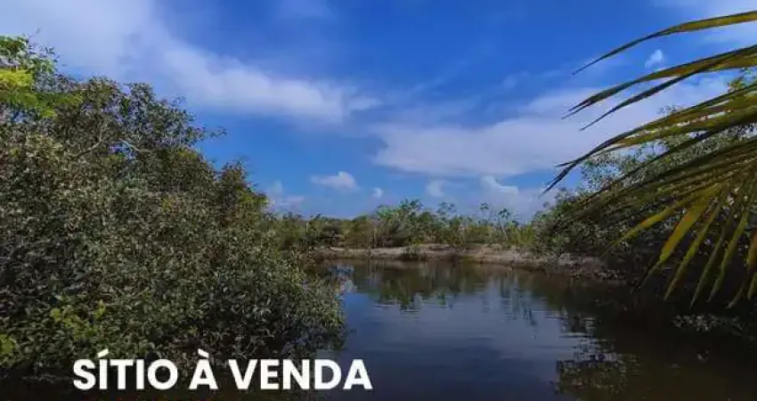 Chácara / sítio com 2 quartos à venda na Rua Campinas, Arembepe (Abrantes), Camaçari