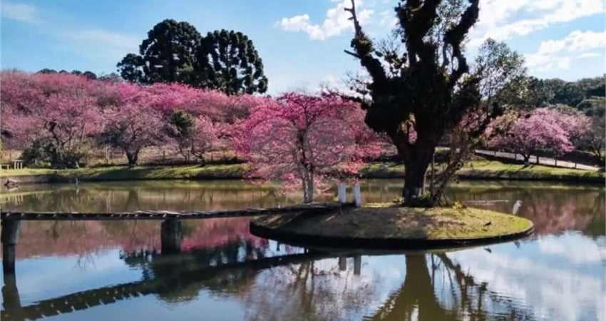 Chácara / sítio com 6 quartos à venda no Centro, Piedade 