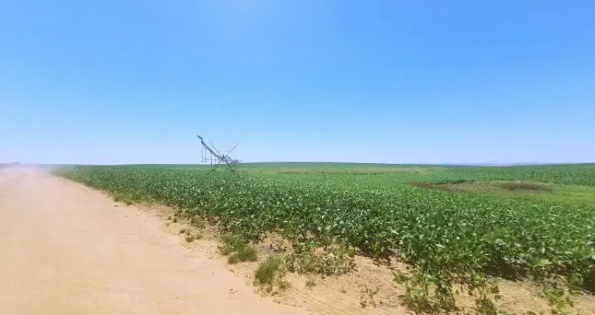 Fazenda de Excelência no RS 2.100 hectares Cachoeira do Sul