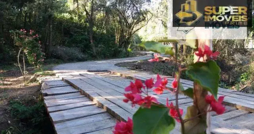 Chácara 3 hectares para Venda na BR em Cascata Pelotas-RS