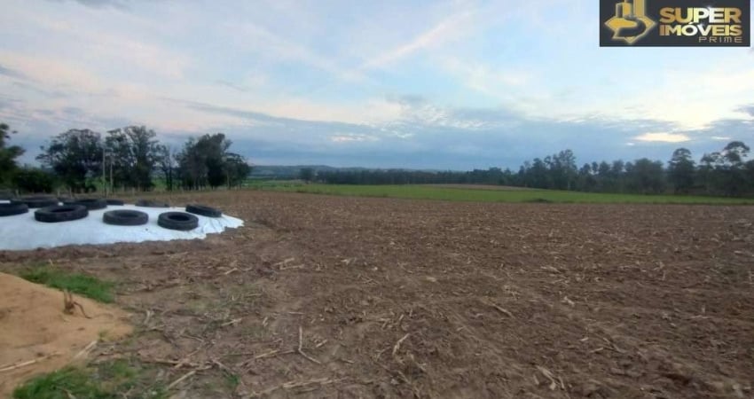 Fazenda Espetacular no Capão do Leão-RS próximo de Pelotas