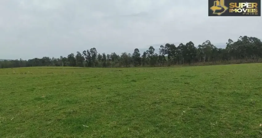 Fazenda à venda na Zona Rural, Canguçu 