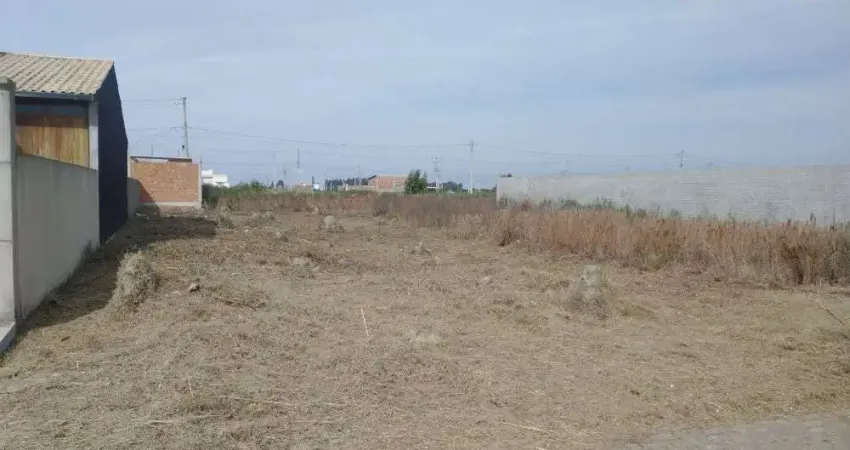 Terreno para Venda no Germani - Danubio - Pelotas-RS