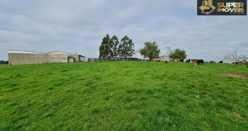 Fazenda com 1 sala à venda na Colônia Nova, Aceguá 