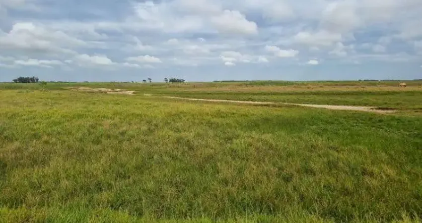Fazenda com 1 sala à venda na Rodovia BR-392, Quinta, Rio Grande