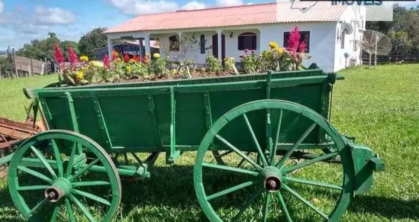 Chácara / sítio com 6 quartos à venda na Zona Rural, Centro, Morro Redondo