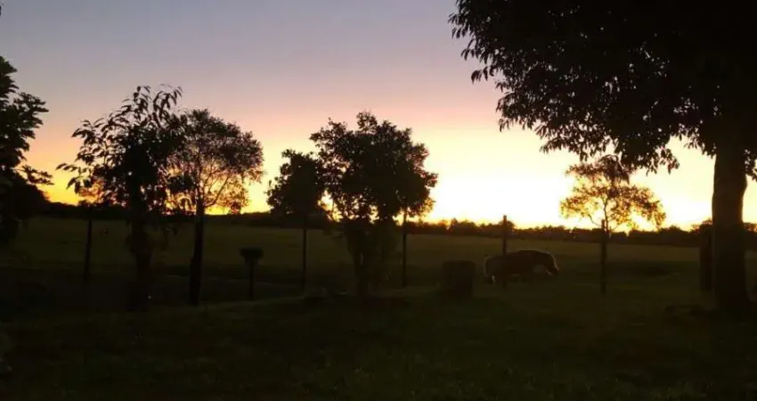 Chácara / sítio à venda na Zona Rural, Povo Novo, Rio Grande