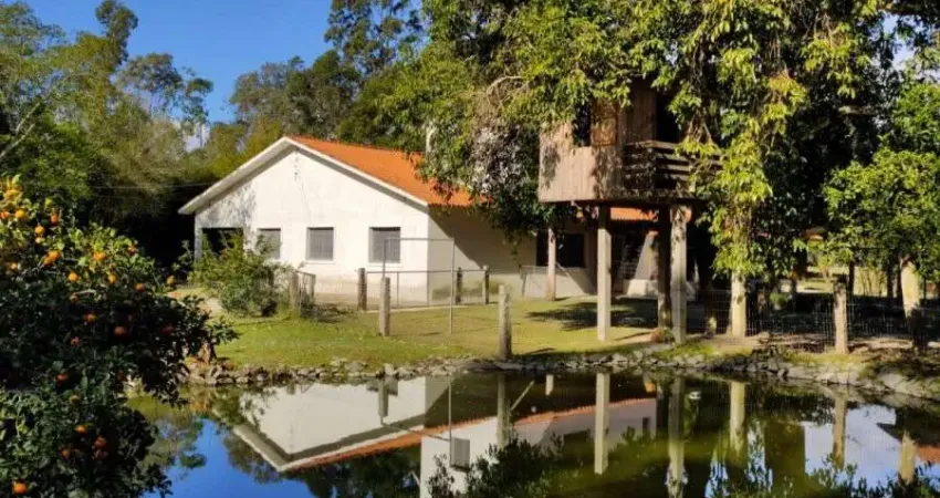 Chácara / sítio com 5 quartos à venda na Rua Jacarandás, Centro, Capão do Leão