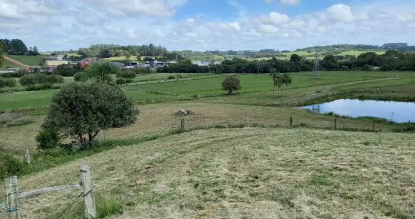 Chácara / sítio com 6 quartos à venda na Zona Rural, Centro, São Lourenço do Sul