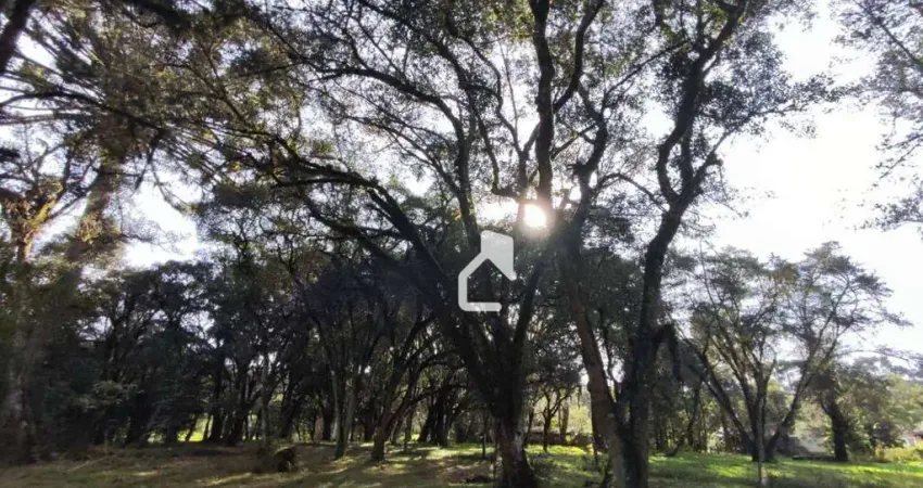 Terreno à venda na Estrada Geral de Pinheiros, Água Verde, Canoinhas