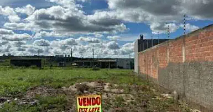 Terreno à venda, 300 m² por R$ 200.000,00 - Residencial Cerejeiras - Anápolis/GO