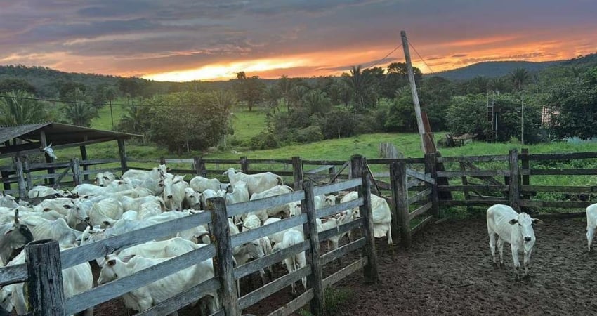 Fazenda com 4 dormitórios à venda, 9303932 m² por R$ 80.000,00 - Zona Rural - Minaçu/GO