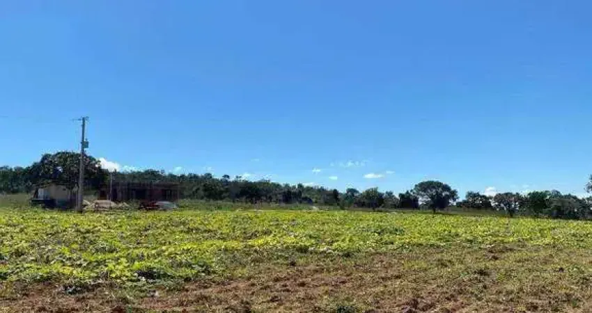 Chácara com 2 dormitórios à venda, 20000 m² por r$ 450.000,00 - zona rural - interlândia/go