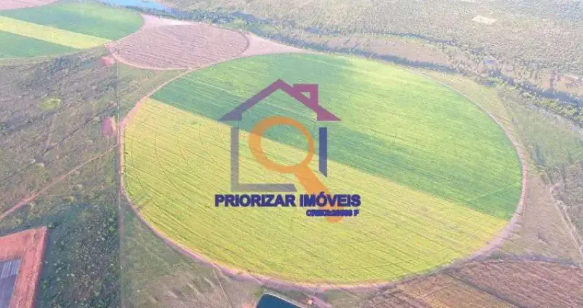 FAZENDA DUPLA APTIDÃO COM 531 HÁ E 230 IRRIGADOS COM PIVÔS E