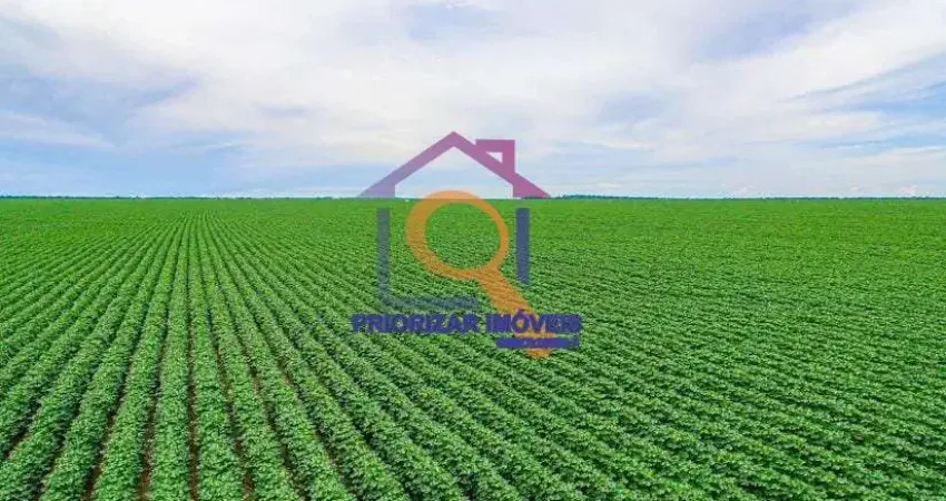 FAZENDA DUPLA APTIDÃO COM 18.270 HA EM IPIRANGA DO NORTE-MT