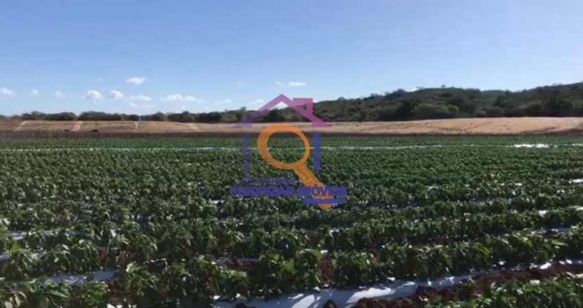 FAZENDA DE DUPLA APTIDÃO COM 988 HA FORMADA EM IBIMIRIM - PE