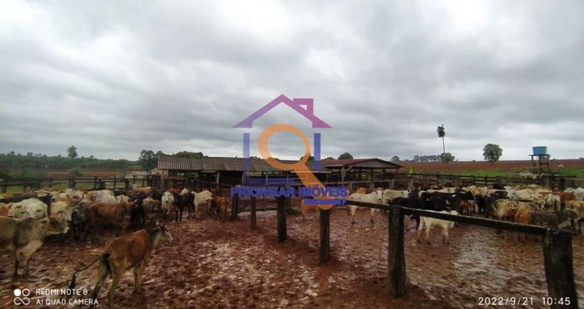 Fazenda com 2 salas à venda na Área Rural, Zona Rural, São Félix do Araguaia