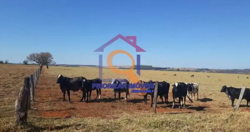 FAZENDA COM 304 HA FORMADA, ÁREA DE LAVOURA E GADO EM PRESID