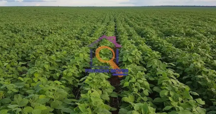 FAZENDA DUPLA APTIDÃO 17.000 MIL HA FORMADA EM ÁGUA BOA-MT