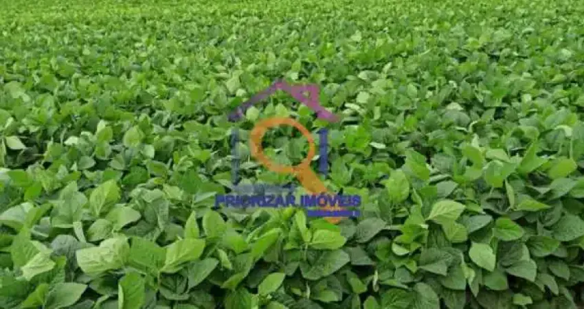 FAZENDA DUPLA APTIDÃO COM 1.396 HA EM CAPÃO BONITO - SP