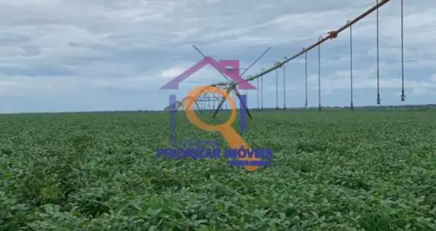 FAZENDA 470 HA DUPLA APTIDÃO IRRIGADA EM BRASILÂNDIA - MG