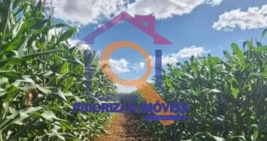 FAZENDA DE DUPLA APTIDÃO COM 405 HA FORMADA EM PARACATU - MG