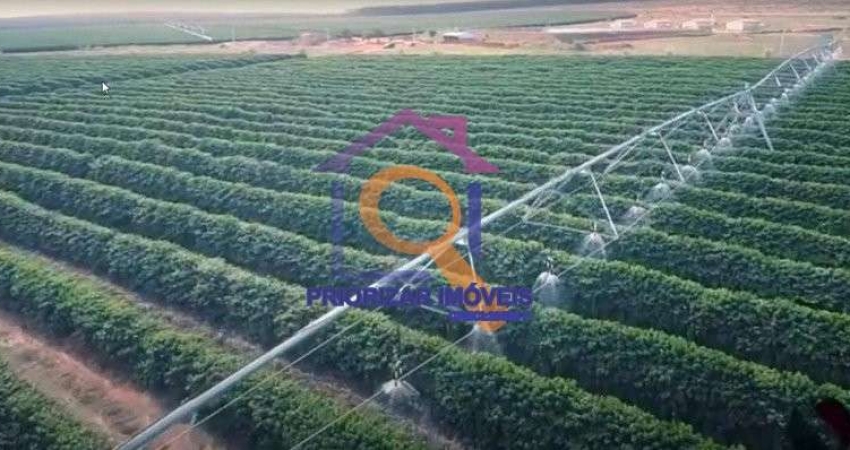 FAZENDA DE CAFÉ COM 2050 HA IRRIGADA EM BURITIZEIRO-MG