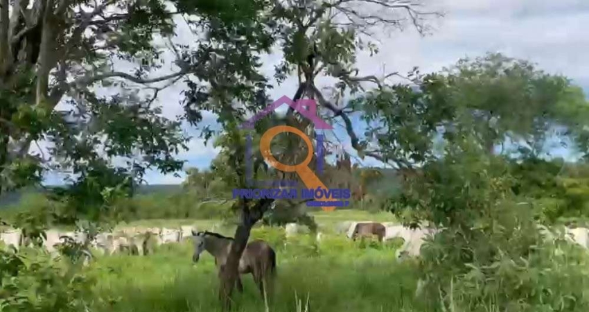 FAZENDA DUPLA APTIDÃO COM 1010 HA EM BONFINÓPOLIS - MG
