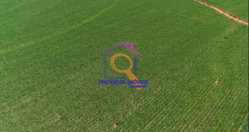FAZENDA DE CANA COM 912 HA EM PRESIDENTE PRUDENTE- SP