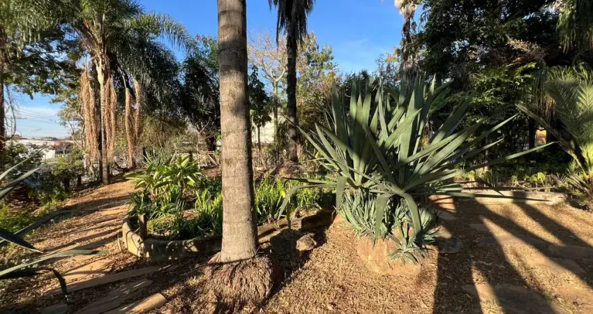 Terreno à venda na Santa Amélia, Belo Horizonte 