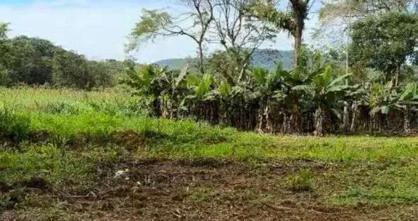 Área à venda no bairro Rio Sagrado - Morretes/PR, Rural