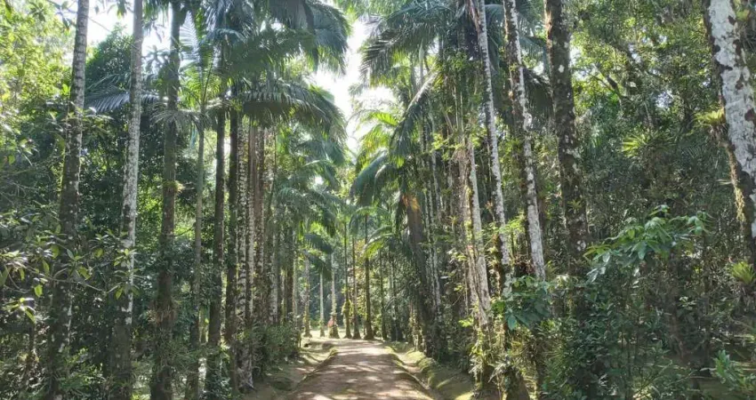 Chácara  com 306.287 m² apenas 3Km do Centro Histórico de Morretes