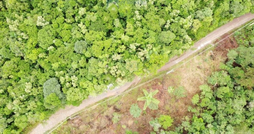 Chácara / sítio com 1 quarto à venda em América de Cima, Morretes 