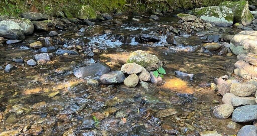 Chácara 36.600 m² em Morretes com 3 tanques de Peixes 1500 pés de bananas e rio passando dentro da propriedade