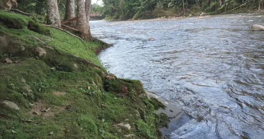 Chácara à venda no bairro Porto de Cima - Morretes/PR