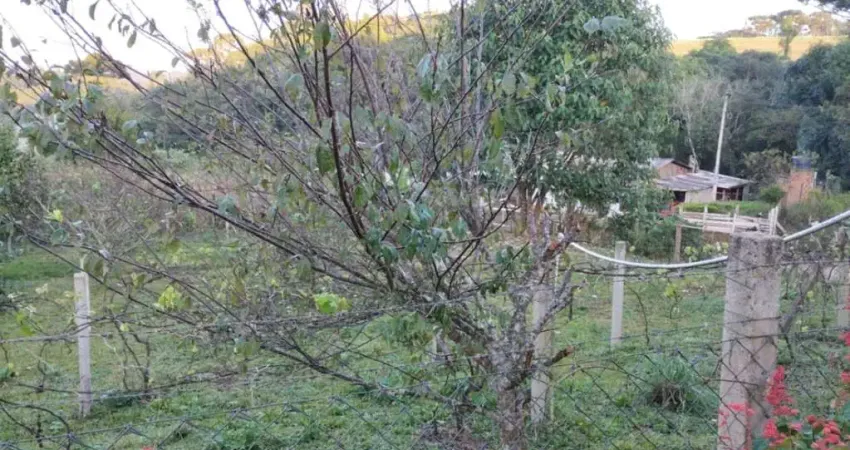 Terreno / Lote