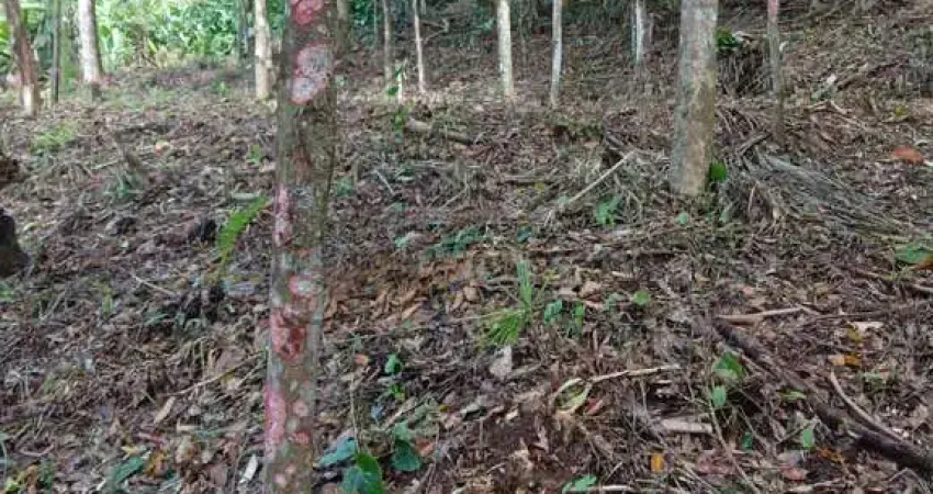 Terreno à venda na Estrada do Bom  Jardim, Zona Rural, Morretes