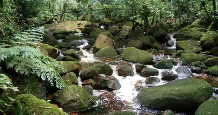 Terreno à venda na Estrada Da Ponte Alta, 227, Zona Rural, Morretes