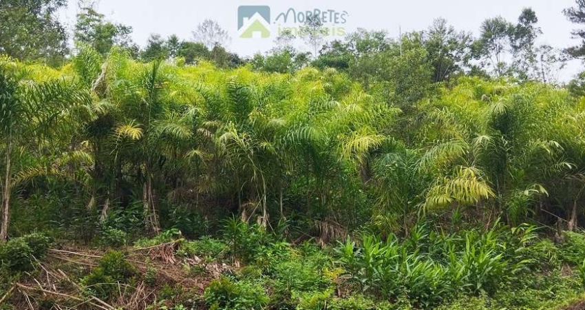 Fazenda à venda na PR 410, sn, Braço da Figueira, Antonina