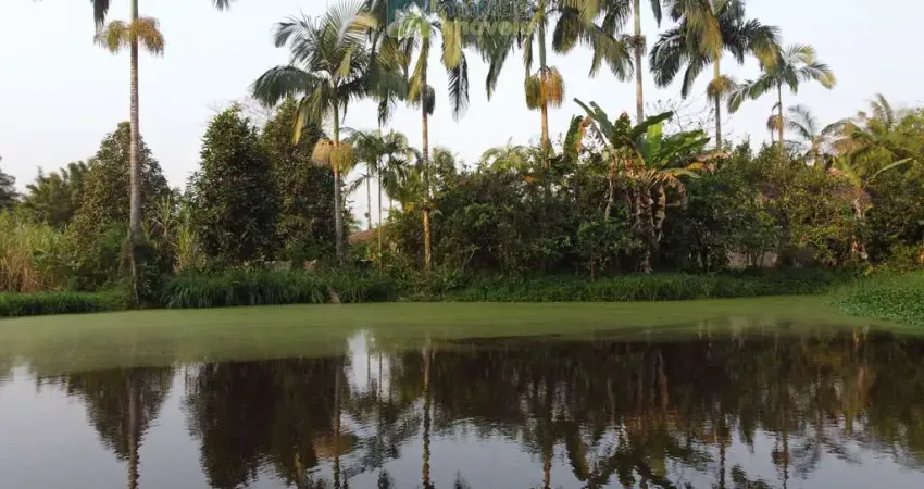 Chácara em Morretes no Sarapia com 23.000m² apenas  400 metros da rodovia 2 tanques de peixes