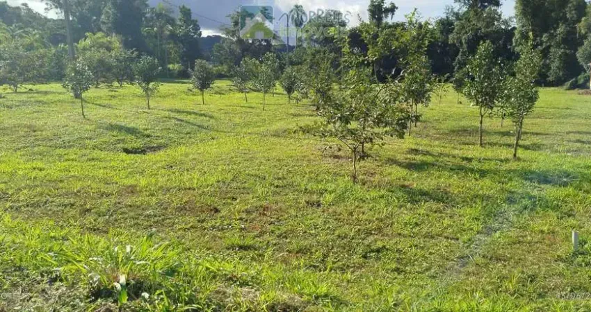 Terreno em Loteamento em Vila das Palmeiras, Morretes/PR