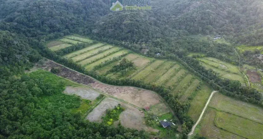 Sítio 14 alqueires em itaqui  atividade cultivo de arroz ou piscicultura capacidade mais de  26 tanques no município de guaraqueçaba pr