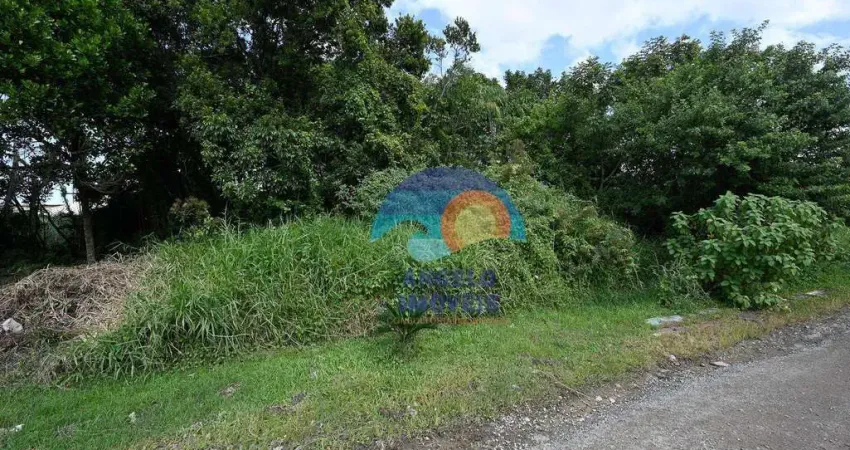 Terreno à venda, 250 m² por R$ 70.000,00 - Parque Balneário Oásis - Peruíbe/SP