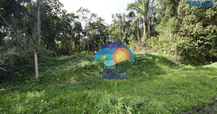 Terreno à venda, 265 m² por R$ 40.000,00 - Jardim Marcia - Peruíbe/SP