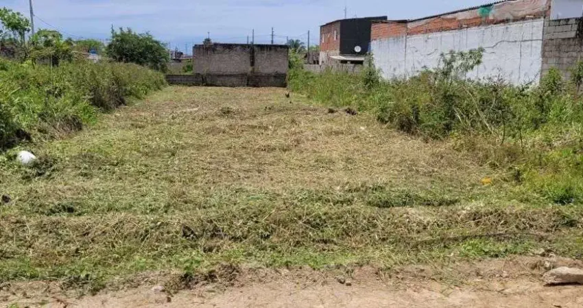 Terreno à venda, 210 m² por R$ 50.000,00 - Itariri - Itariri/SP