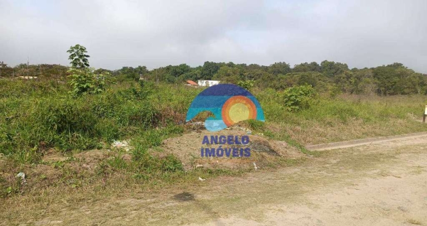 Terreno à venda, 168 m² por R$ 60.000,00 - Estância dos Eucalipitos - Peruíbe/SP